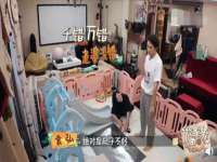 山东互迪特文化科技有限公司