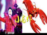 山东互迪特文化科技有限公司