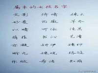 山东互迪特文化科技有限公司