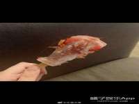 山东互迪特文化科技有限公司