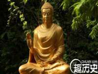 山东互迪特文化科技有限公司