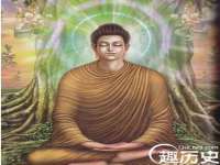 山东互迪特文化科技有限公司